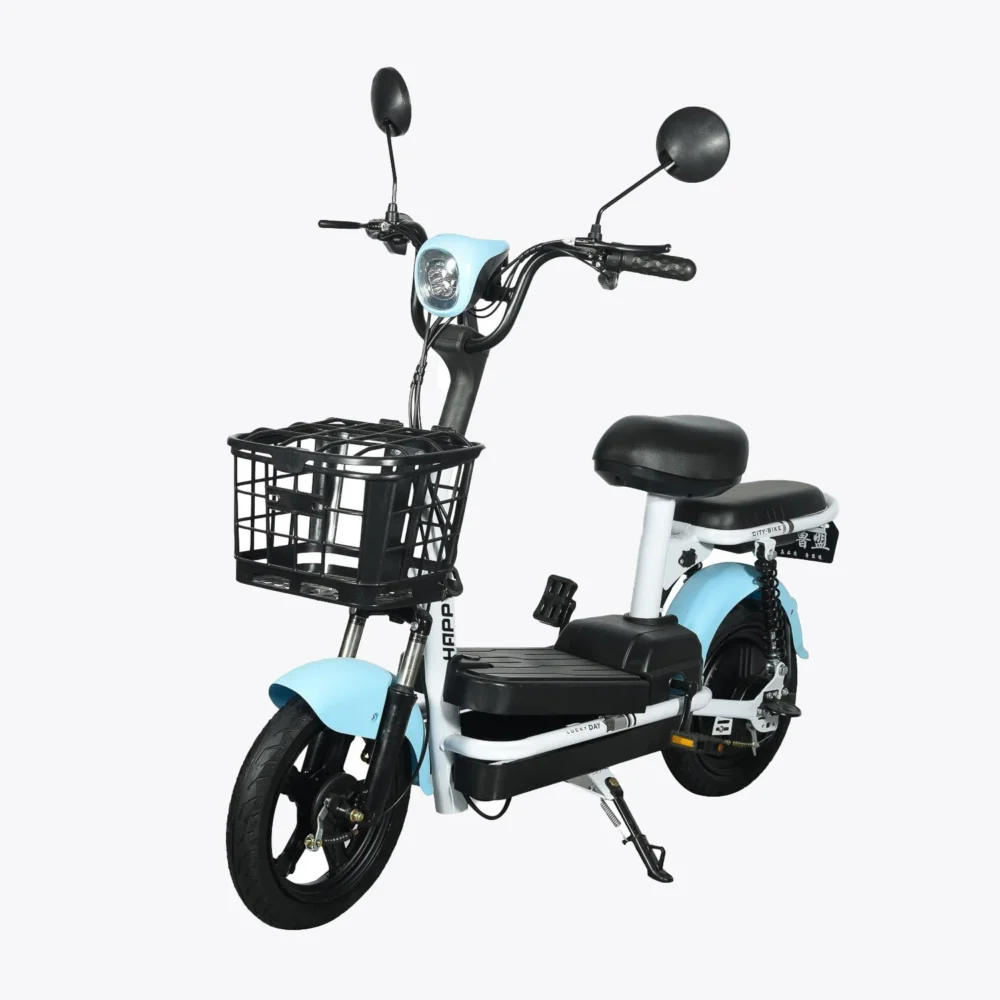 Compact City Electric Bicycle  2-Seater  E-Bike