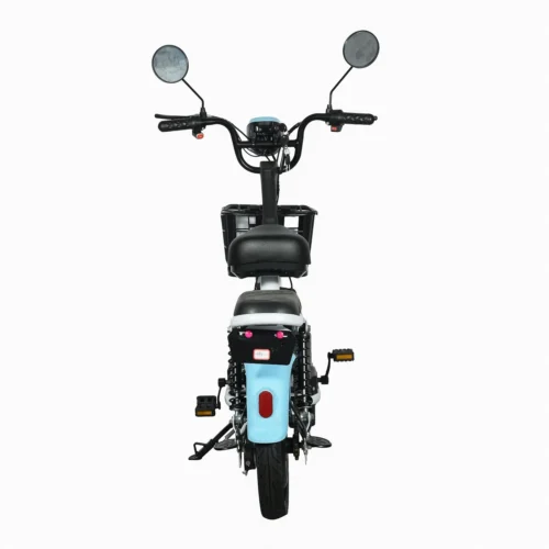 Compact City Electric Bicycle  2-Seater  E-Bike