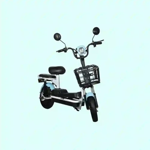 Electric Bicycle (1) Compact City Electric Bicycle 2-Seater E-Bike