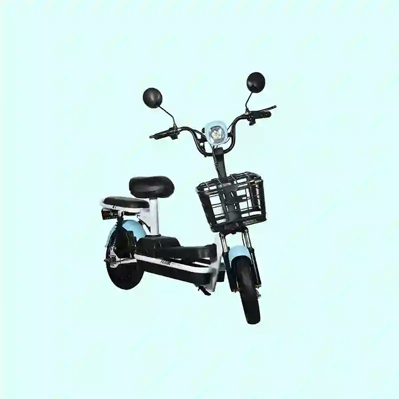 Compact City Electric Bicycle  2-Seater  E-Bike