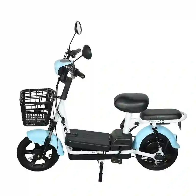 Electric Bicycle (5) Compact City Electric Bicycle 2-Seater E-Bike
