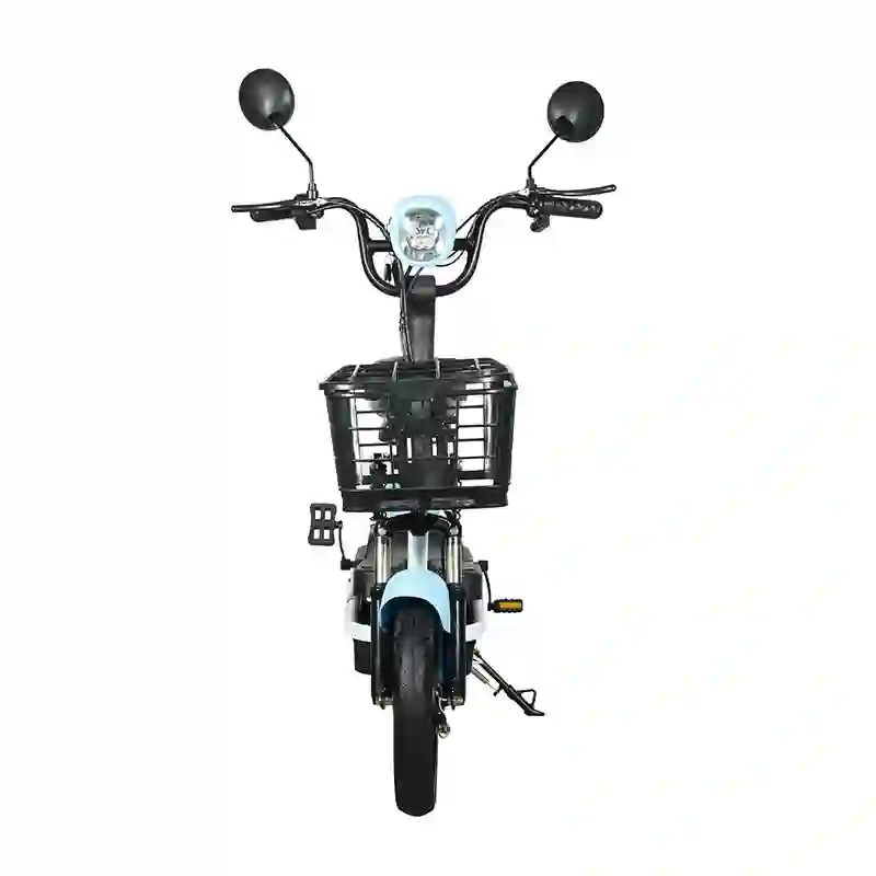 Electric Bicycle (6) Compact City Electric Bicycle 2-Seater E-Bike