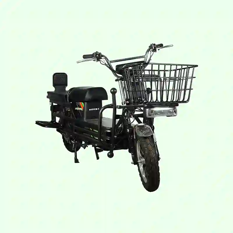 Electric Bicycle Heavy-Duty Cargo for Work & Delivery