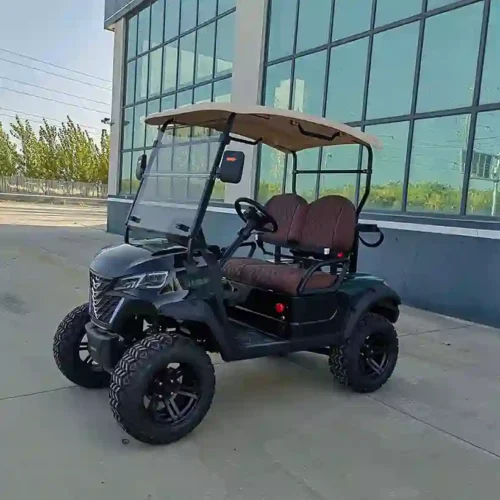 2-Seater Electric Golf Cart  Off-Road Lifted Golf Buggy