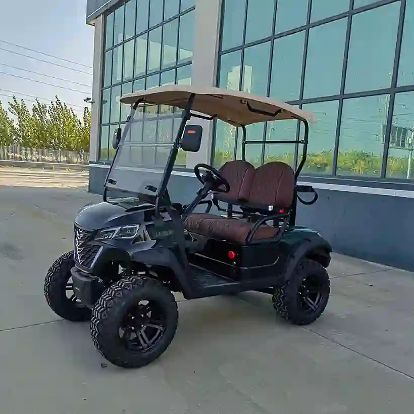 2-Seater Electric Golf Cart  Off-Road Lifted Golf Buggy