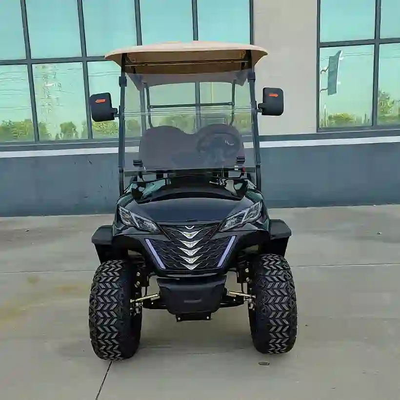 2-Seater Electric Golf Cart  Off-Road Lifted Golf Buggy