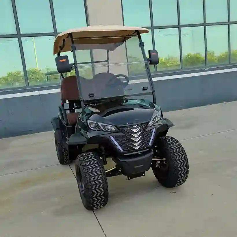 2-Seater Electric Golf Cart  Off-Road Lifted Golf Buggy