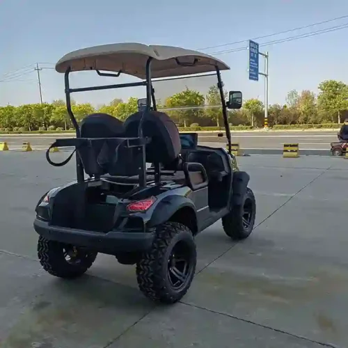 2-Seater Electric Golf Cart  Off-Road Lifted Golf Buggy