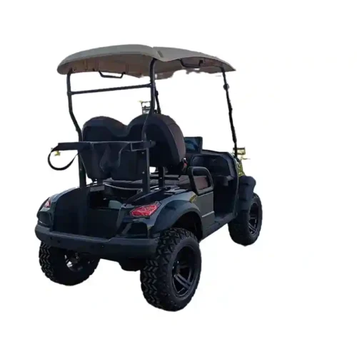 2-Seater Electric Golf Cart  Off-Road Lifted Golf Buggy