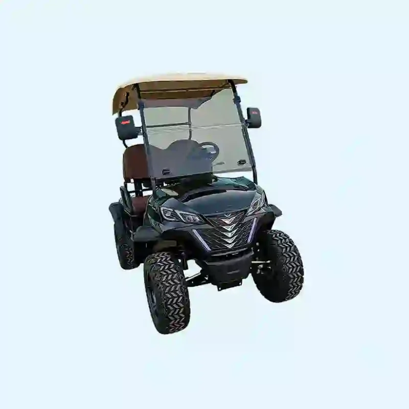2-Seater Electric Golf Cart  Off-Road Lifted Golf Buggy