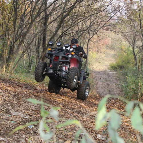 Rugged ATV 4x4 Off-Road Quad for Adventure & Work