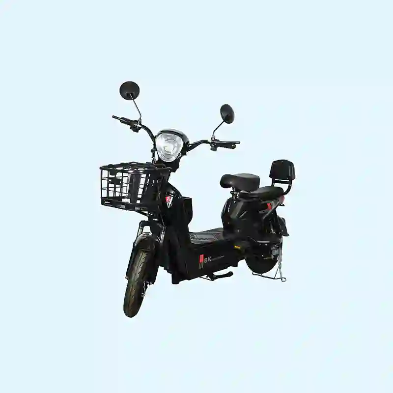 Black Electric Bicycle  2-Seater City Commuter E-Bike