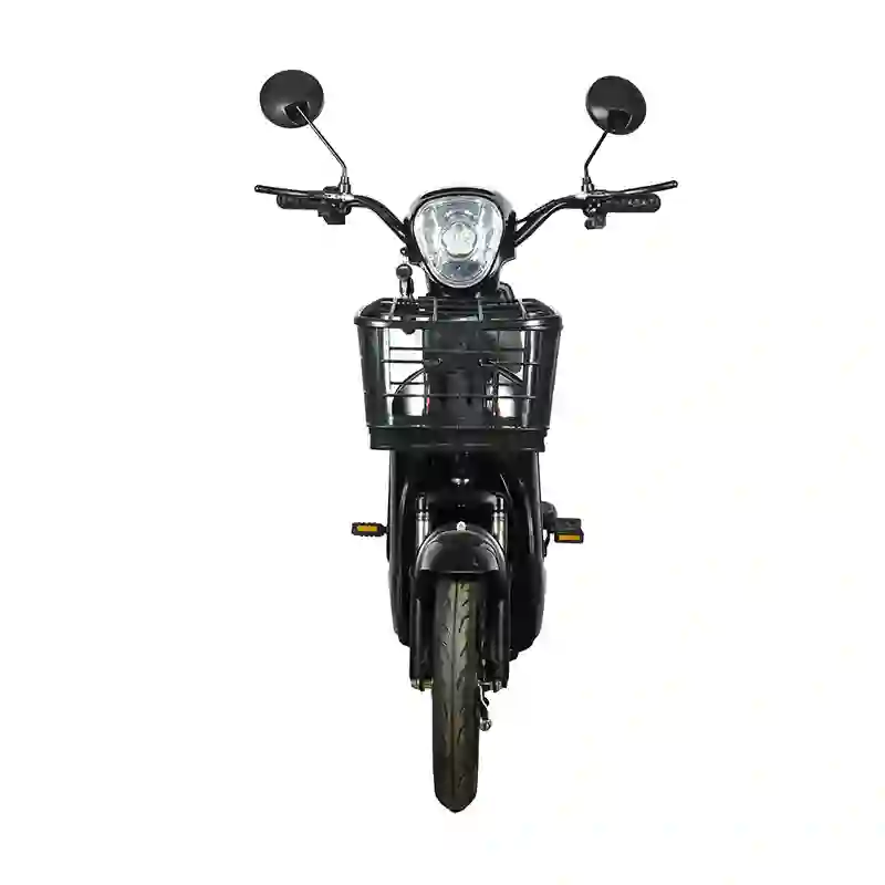 black electric bicycle (2) Black Electric Bicycle 2-Seater City Commuter E-Bike