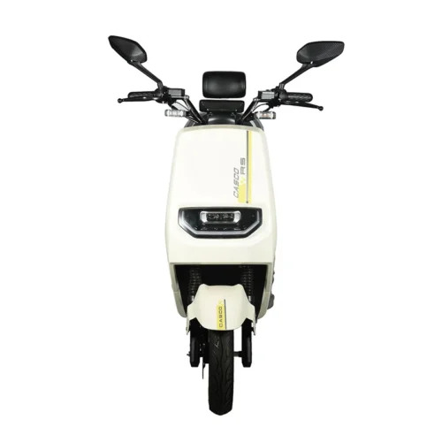 electric motorcycle (1) Shangling Electric Motorcycle 1200W-3000W