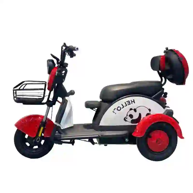 3 wheel electric bicycle (1)