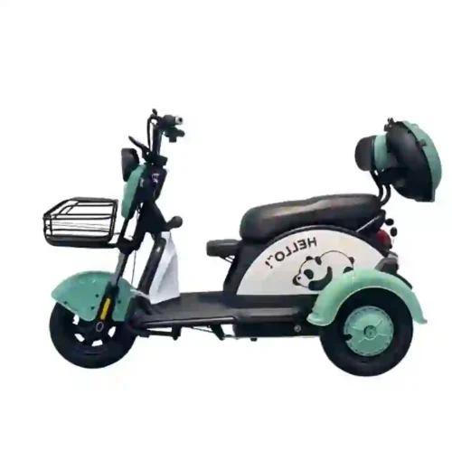 3 wheel electric bicycle (2)
