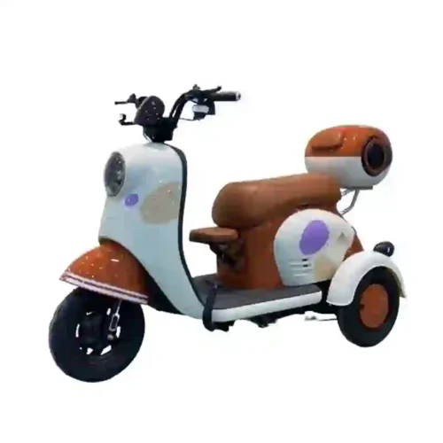 3 wheel electric bicycle (4)