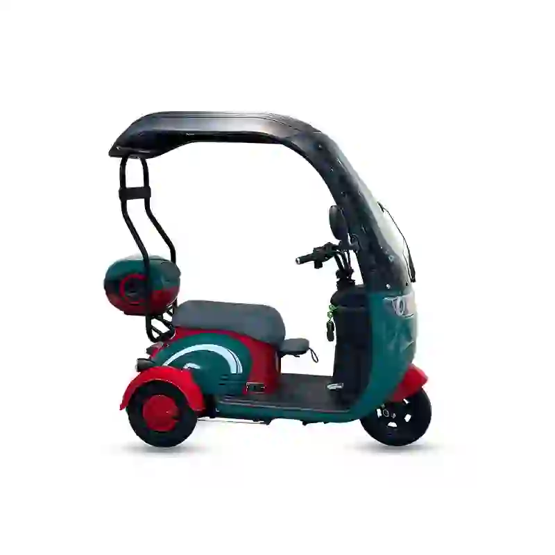 3 wheel electric bicycle (5)