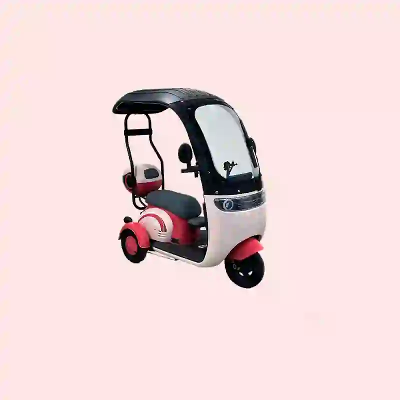 3 wheel electric bicycle (6) 3 wheel electric bicycle (6)