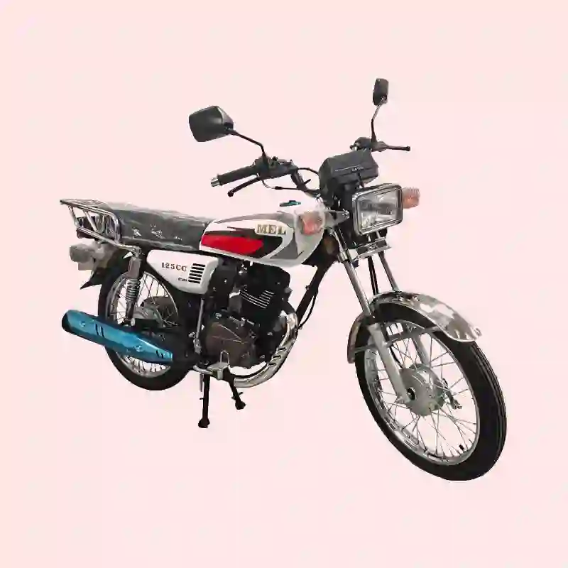 Motorcycle (1) Professional Motorcycle Manufacturer for B2B Wholesale