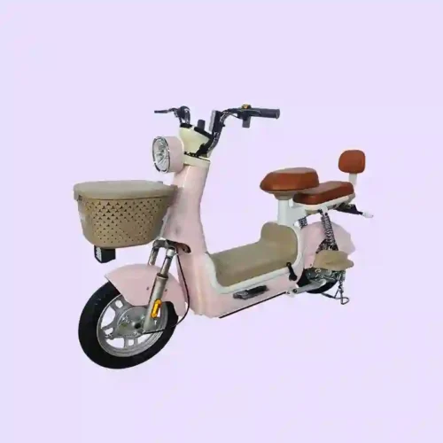bicycle electric bicycle1