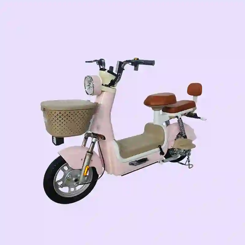 bicycle electric bicycle1