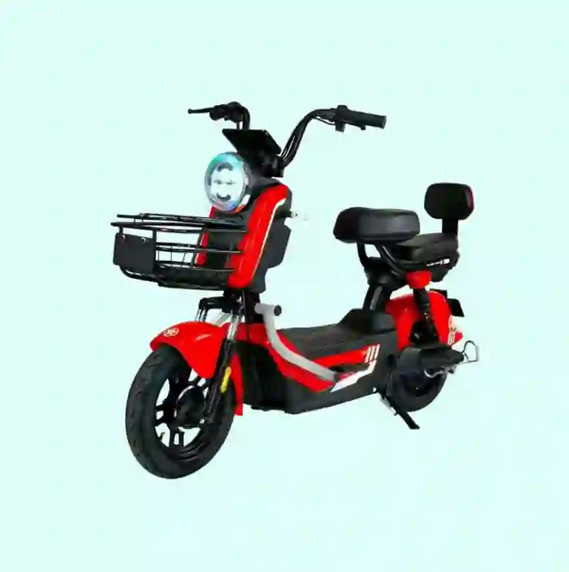 bike electric bicycle1