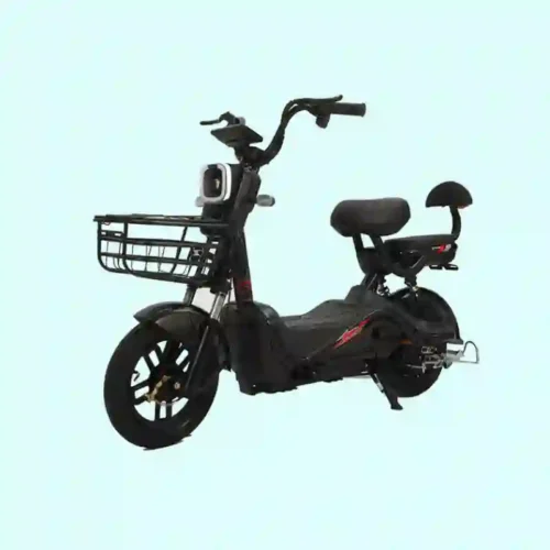 bike electric bike 1