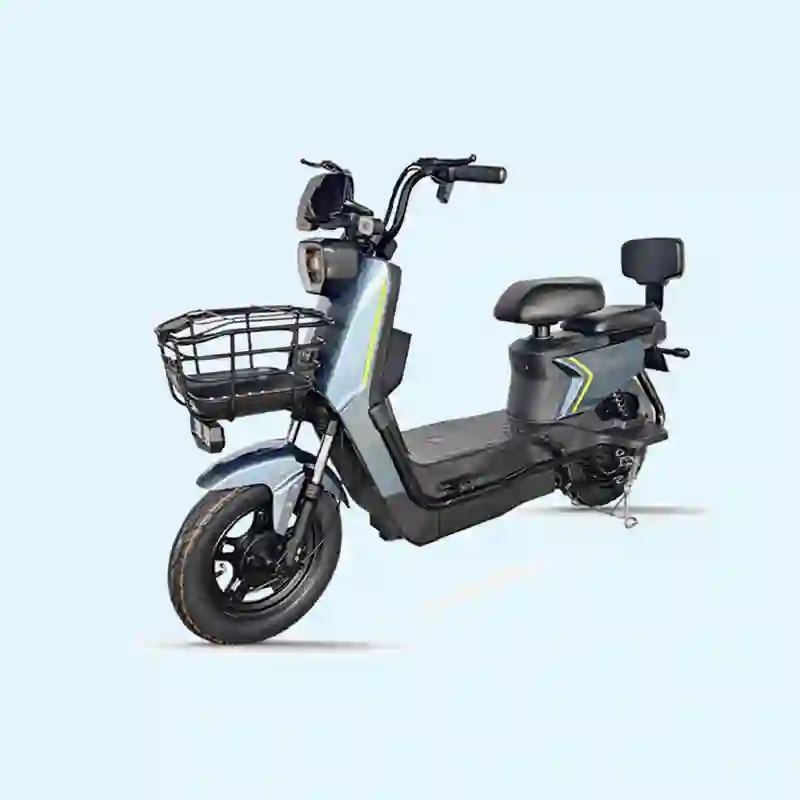 bike with electric1