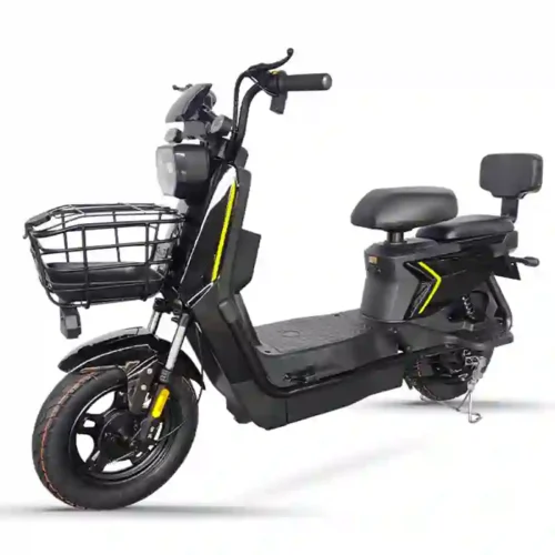 bike with electric3