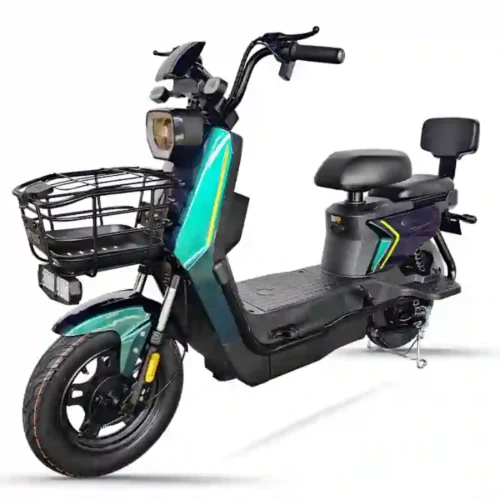 bike with electric5