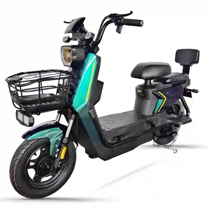 bike with electric5