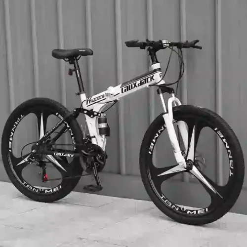 bmx bikes (1)