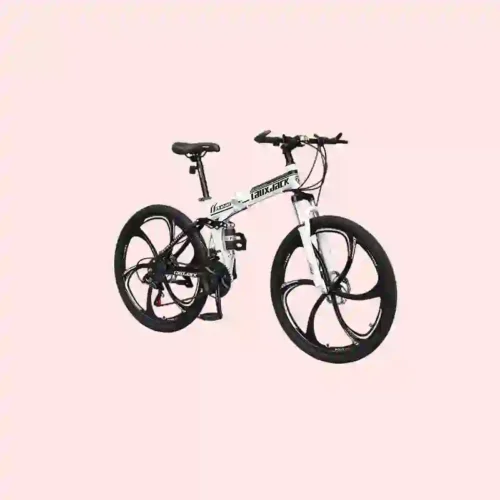 bmx bikes (6)