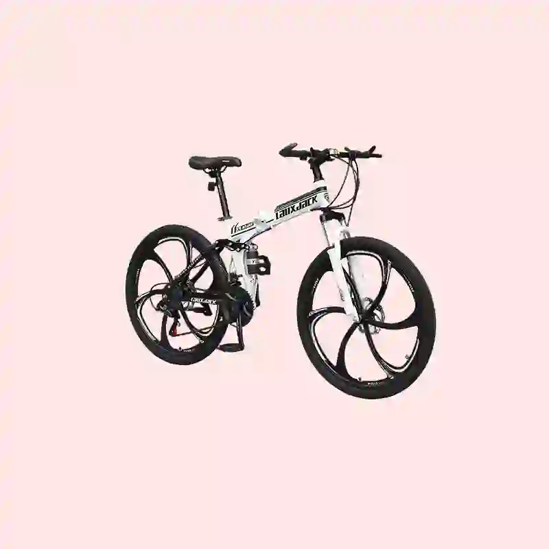 bmx bikes (6)
