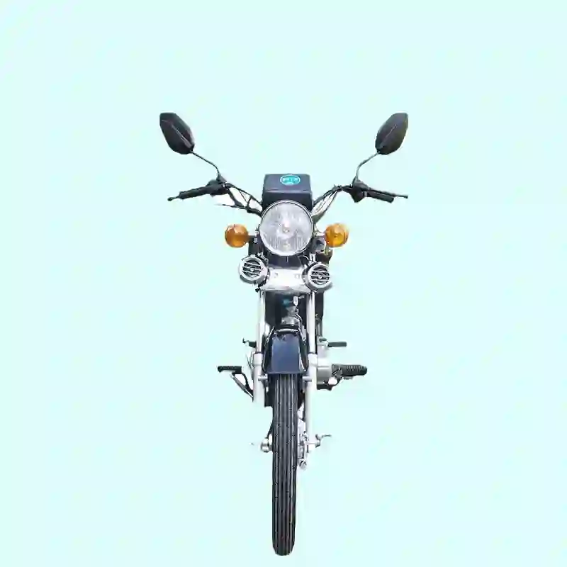 Longwin Professional Dirt Bikes