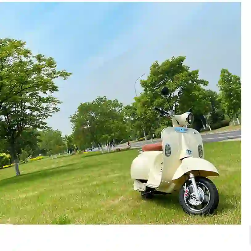 Electric Motorcycle  Electric Motorbike Factory Price