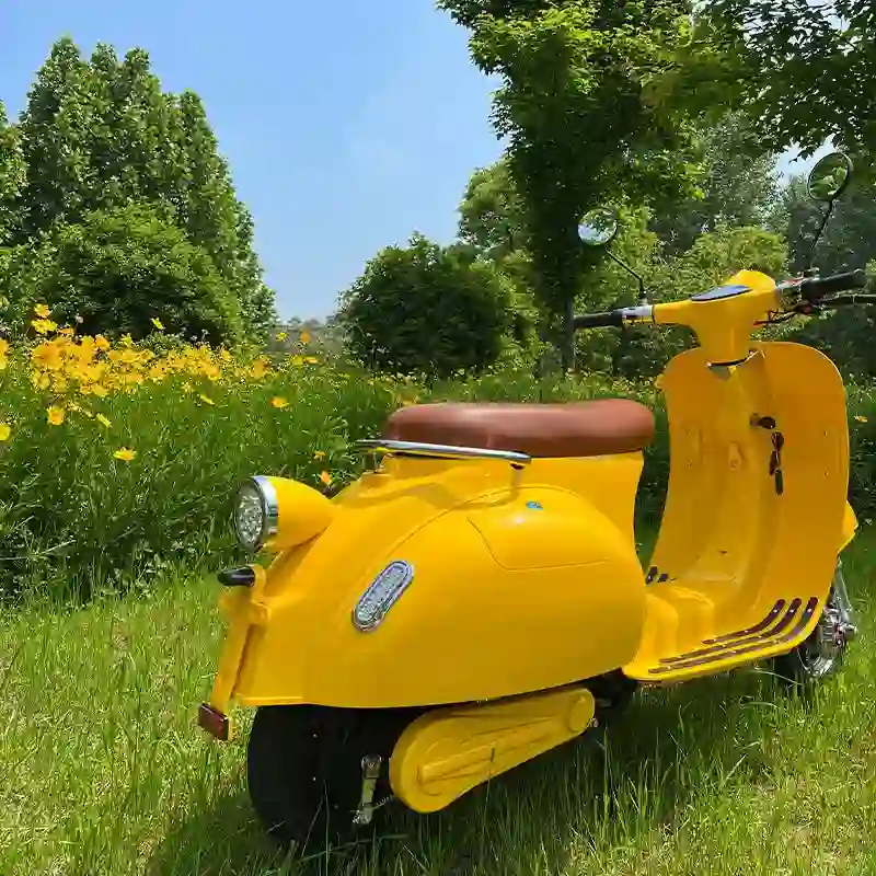 High-Power E Motorcycle  Long-Range