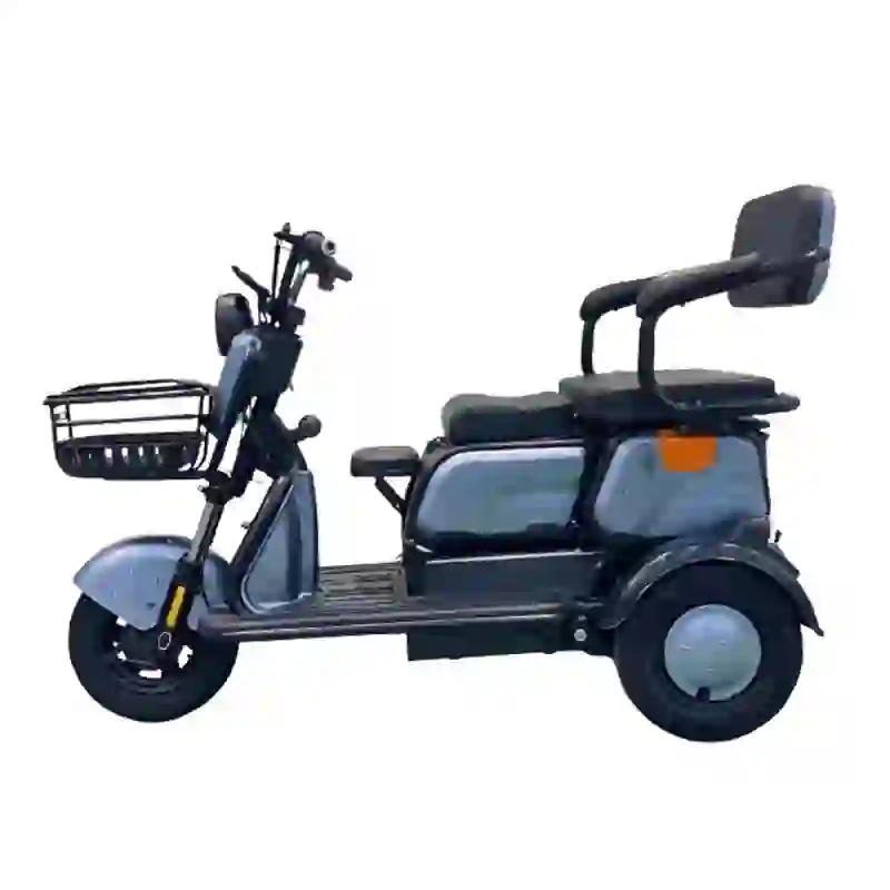 e tricycle (1)