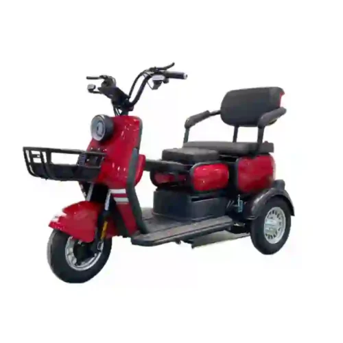 e tricycle (5)