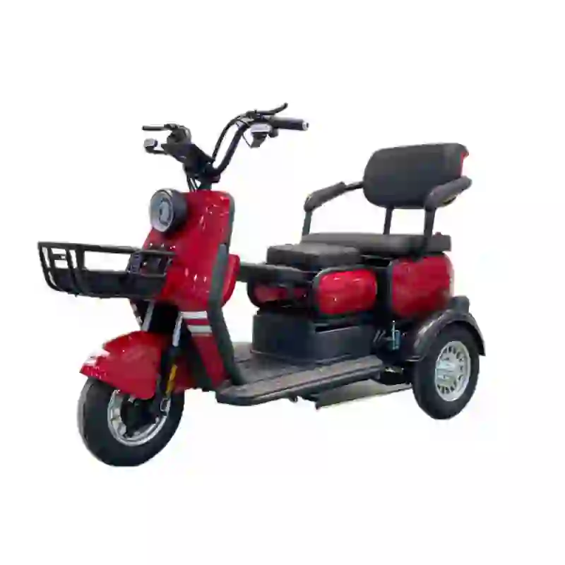 e tricycle (5)