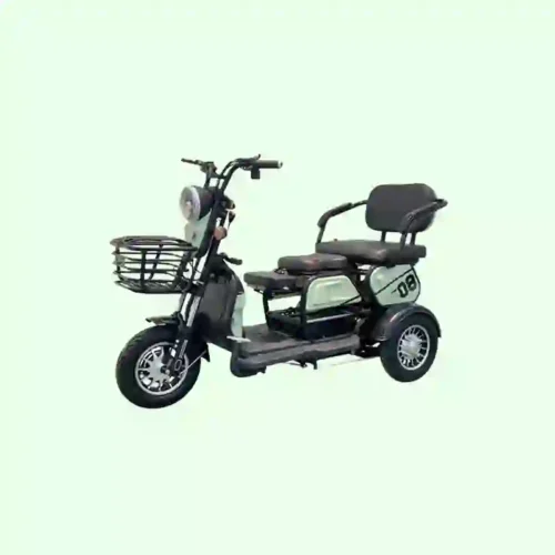 e tricycle (6)