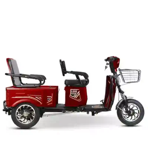 e trike (4)