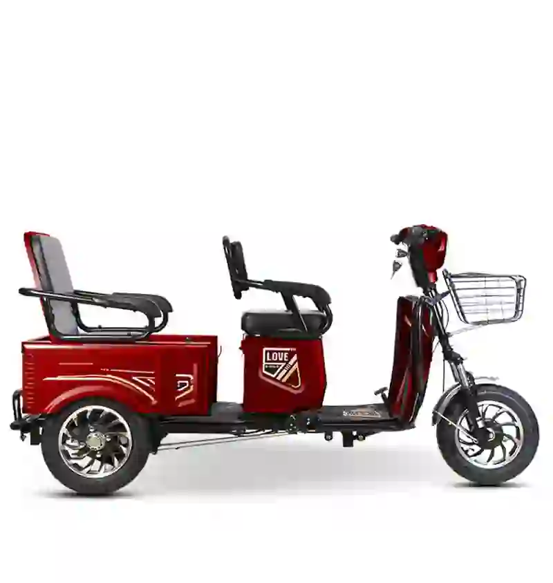 e trike (4)