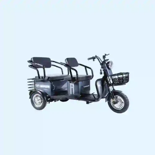 e trike (6)
