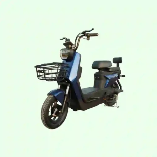 ebike bike1