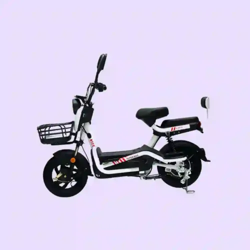 ebike electric bicycle1