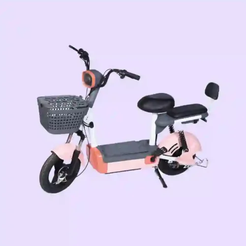 electric bicycle 1