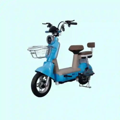 electric bike bicycle1
