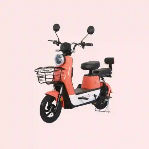 electric bike e bike1